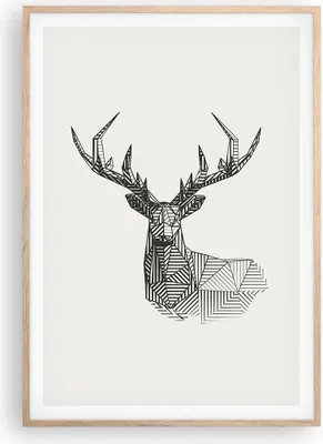 Produktbild von Gerahmtes Poster - Rahmen in heller Eiche - Hirsch Skizze Skandinavisch - 70x100 cm - Wand Bild - Wanddeko - Wandbilder - Kunstposter - Wandposter - Bilderrahmen - Bilder - P2NPA70x100-4950