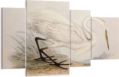 Produktbild von Bild auf Leinwand - Leinwandbild - 4 Teile - Vogel Weiß Reiher - 120x70cm - Wand Bild - Wanddeko - Wandbilder - Leinwanddruck - Bilder - Wanddekoration - Leinwand bilder - Wandbild - DL120x70-4979