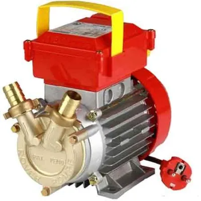 Immagine prodotto di Elettropompa In Bronzo Bisenso Da Travaso Rover 30 Ce 75 Lt./Min