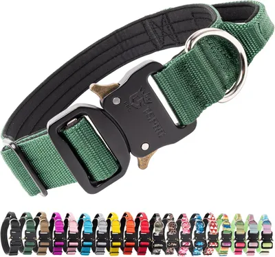 Produktbild von Hundehalsband M, verstellbar, mit Handschlaufe und Schnellverschluss, Nylon, grün