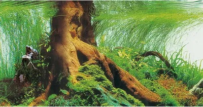 Zdjęcie produktu dla Ścianka tylna do akwarium Pearl River / Deep Delta - 100 x 50 cm