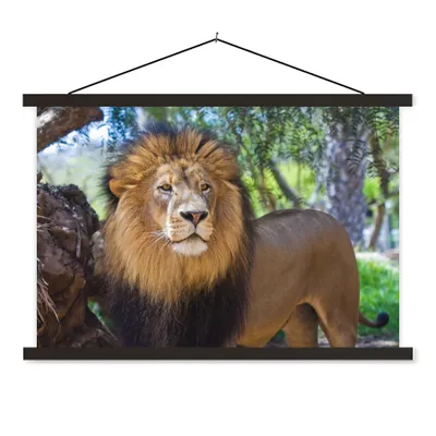 Produktbild von MuchoWow® Textilposter Löwe - Natur - Tier 120x80 cm mit schwarzem Rahmen - Wanddeko