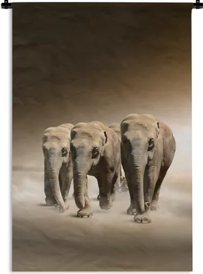Produktbild von MuchoWow® Wandteppich Wandbehang Elefanten - Tiere - Nebel 120x180 cm Tapisserie Dekoration Wandtuch - Schlafzimmer - Dekorationen für das Haus