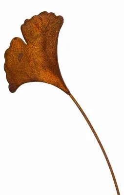 Image de Omgoods - Décoration de jardin en métal en forme de feuille de gingko, pour l'extérieur