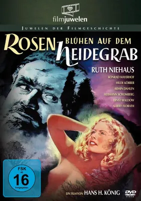 Produktbild von Rosen blühen auf dem Heidegrab