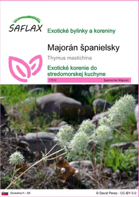 Obrázok produktu pre SAFLAX - Majorán španielsky - Thymus mastichina - 250 Semená