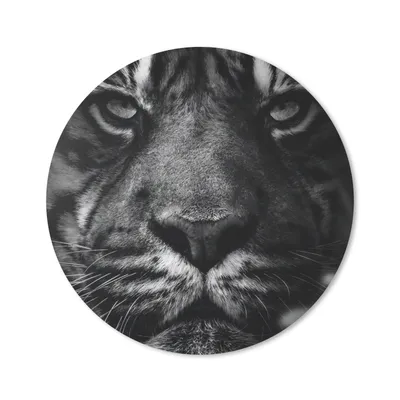 Produktbild von MuchoWow® Mauspad Mousepad Tiere - Tiger - Wild - Schwarz - Weiß 20x20 cm - Mousepads - Maus Mat - Pad - Mausunterlage - Schreibtischmatte