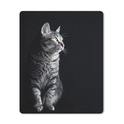 Produktbild von MuchoWow® Mauspad Mousepad Katze schaut weg 30x40 cm - Mousepads - Maus Mat - Pad - Mausunterlage - Mausmatten