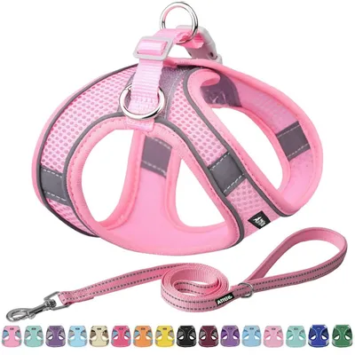 Image de Harnais pour chien avec laisse, harnais pour chiots, rose, taille XXS