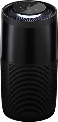 Immagine prodotto di instant air purifiers - Purificatore d'aria AP300 antracite