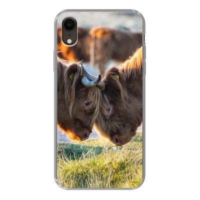 Produktbild von MuchoWow® Handyhülle Schutzhülle Hülle für iPhone XR Schottische Highlander - Tiere - Sonne Silikon Softcase Handy Hülle - Schutzdeckel