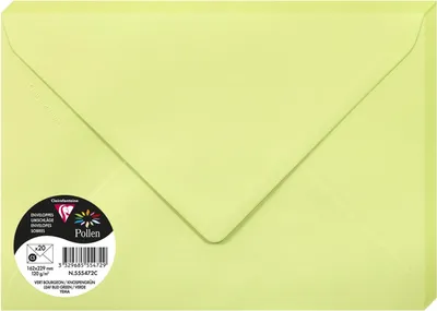 Obrázek produktu pro Pyl podle Clairefontaine obálka C5, zelený pupen