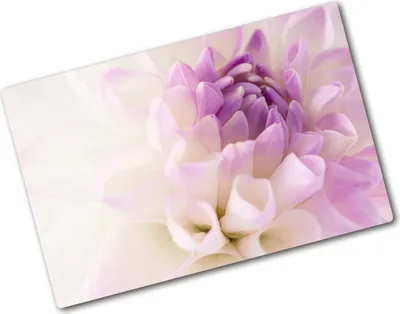 Produktbild von Tulup Glas Herdabdeckplatte - 80x52 cm - Glaskeramikkochfeld-Abdeckung Spritzschutz Glasabdeckplatte - Einteilig - Blumen & Pflanzen - Weiße Dahlie - Lila