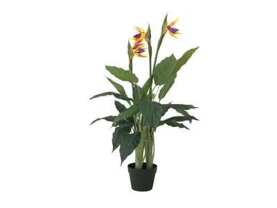 Zdjęcie produktu dla EUROPALMS Strelitzia, sztuczna roślina, 90 cm (82540502)