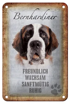 Produktbild von Blechschild Spruch 12x18cm Bernhardiner Hund Schild