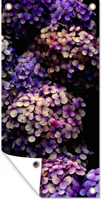 Produktbild von MuchoWow® 40x80 cm Outdoor-Poster Gartendeko Sichtschutz Garten Poster für den Garten  Hortensie schwarzer Hintergrund