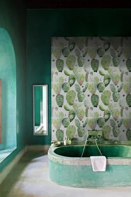 Produktbild von Coloray Fototapete 290x290 cm Vlies-Fototapete - Kaktus-Kakteen-Blumenblumen