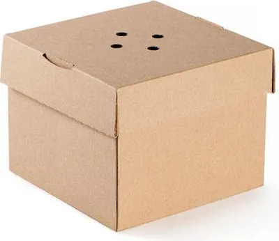 Image de Burgerbox pliable 13 x 13 x 10 cm 100 pièces.