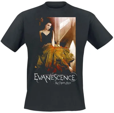 Produktbild von Evanescence T-Shirt Herren Open Door Amy schwarz XXL