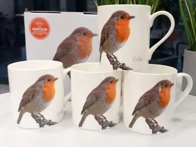 Image de Ensemble de 4 tasses - Motifs oiseaux (FBCh)
