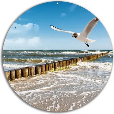 Produktbild von Wallario rundes Outdoor-Poster für Garten oder Balkon, Motiv Fliegende Möwe am Strand, 60 cm Durchmesser