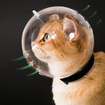 Katzenhelm mit Maulkorb, atmungsaktiv, verstellbar, L