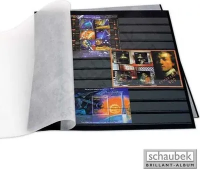 Produktbild von Schaubek EB103-10 Einsteckblatt DONAU, schwarz - ohne Mittelstreifen 10 Blatt
