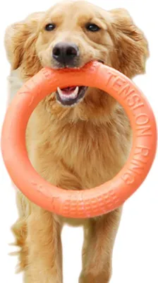 Produktbild von INF EVA Hunde Spielzeug Ring - Interaktives Schwimmendes Kauspielzeug für Training L