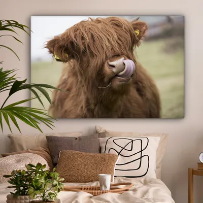 Produktbild von MuchoWow® - Leinwandbilder - Schottischer Highlander - Braun - Tiere, Wandbild, Wanddeko Bilder Wohnzimmer, 120x80 cm