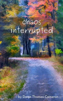 Produktbild von chaos interrupted