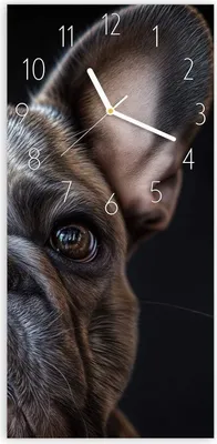 Produktbild von Wanduhr aus Glas mit Motiv Bulldoggenportrait- 30 x 60 cm - inkl. Aufhängesystem