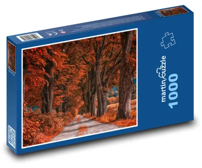 Zdjęcie produktu dla martinpuzzle - Puzzle 1000 elementów - "Droga, jesień"