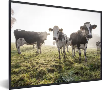 Produktbild von MuchoWow® Gerahmtes Poster Kühe - Licht - Gras - Tiere 40x30 cm - Poster mit Schwarzem Bilderrahmen Wandposter Rahmen Foto Bilder - Kunstposter - Wanddekorationen