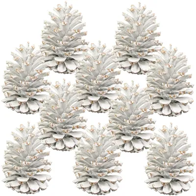 Produktbild von Zapfen für Gestecke Tannenzapfen zum Basteln weiß frosted Deko 10er Set 10-14 cm