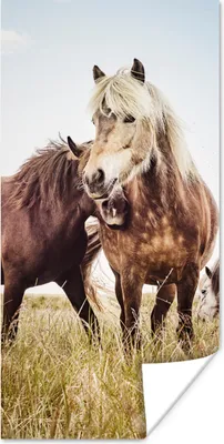Produktbild von MuchoWow® Poster Pferde - Gras - Frühling 20x40 cm - Plakat - Foto