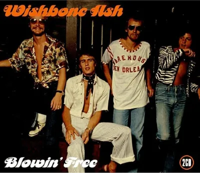 Produktbild von Wishbone Ash-Blowin'