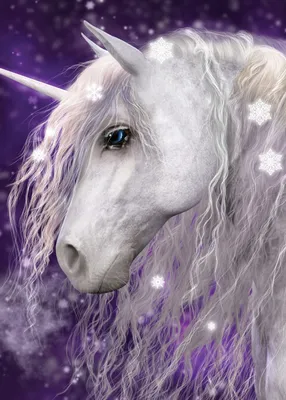 Produktbild von BrandMac BrandMac Fleecedecke 100x140 cm Polyester Einhorn