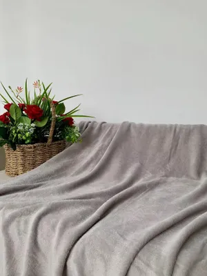 Immagine prodotto di Coperta in micropile SOFT, grigio chiaro Dimensioni: 160 x 200 cm
