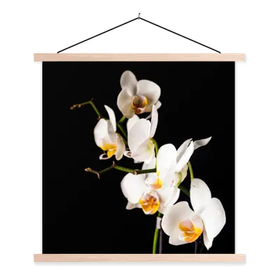 Produktbild von MuchoWow® Textilposter Orchidee - Blumen - Pflanzen - Botanisch 40x40 cm mit holzfarbenen Rahmen - Posterleiste
