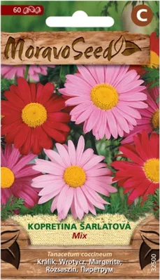Image de Marguerite écarlate, mélangée 32500