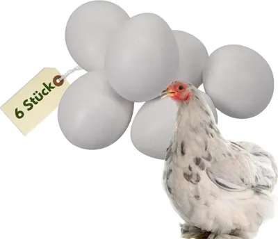 Produktbild von 6x Legeeier Kunsteier Nesteier für Hühner Zwerghühner Gipseier für Tauben Bruteier Künstliche Eier Taubeneier