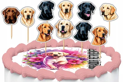 Obrázok produktu pre Zápichy na tortu dekorácia sada - Pes Labrador Retriever 10 ks