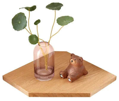 Zdjęcie produktu dla Półka ścienna drewniana, dąb, 18 cm