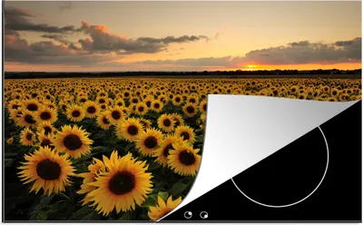 Produktbild von KitchenYeah© Herdabdeckplatte Sonnenblumen bei Sonnenuntergang , 80x52cm, Küche Deko, Glaskeramikkochfeld Herdabdeckung, Abdeckplatte fùr Kochfeld