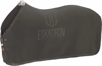 Image de Eskadron Heritage 23/24 Chemise séchante en polaire Stamp Shetty