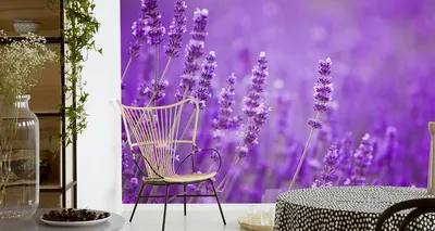 Obrázok produktu pre Netkaná tapeta na stenu krásne levanduľové kvety príroda 180 cm (Š) x 120 cm (V) nástenná dekorácia
