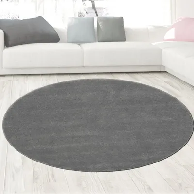 Image de Tapis anthracite clair moderne uni élégant intemporel robuste Taille - 120 cm Rond