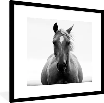 Produktbild von MuchoWow® Gerahmtes Poster Pferd - Schwarz - Weiß - Porträt 40x40 cm - Poster mit Schwarzem Bilderrahmen Wandposter Rahmen Foto Bilder - Poster - Plakat im Rahmen