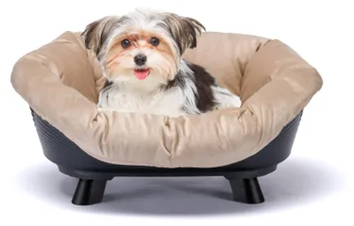 Imagen del producto de Cama para mascotas - FERPLAST - Sofathron 4 - Con cojín - Negra