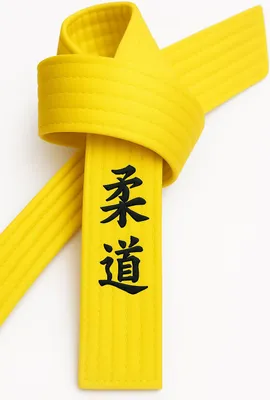 Produktbild von Ju Jutsu Gürtel Gelb bestickt - Ju Jutsu Schriftzeichen japanisch - Gelbgurt mit Kanji Bestickung - 280 cm Länge